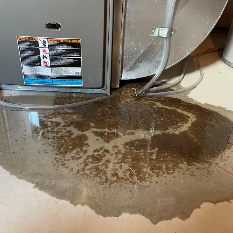 Appliance Leak Cleanup in Addison County, VT